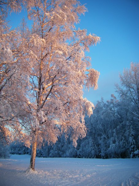 Russian Jack Park, Anchorage AK, 2009