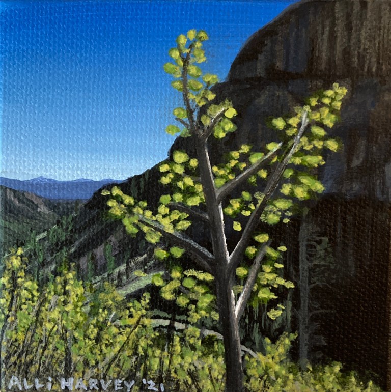 Mt. Charleston Spring