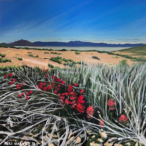 Black Rock Paintbrush