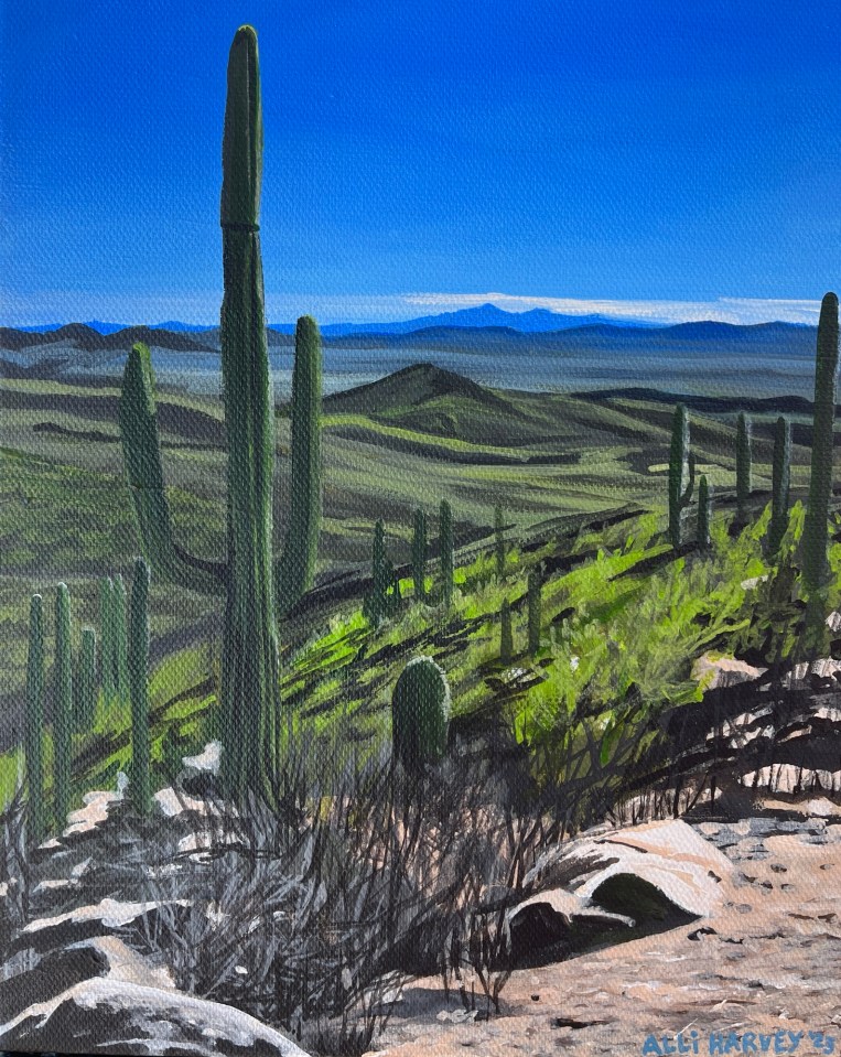 Saguaro Study 1