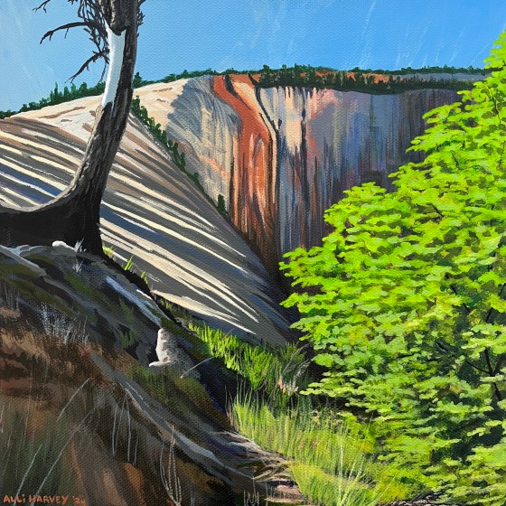 Spring on the West Rim