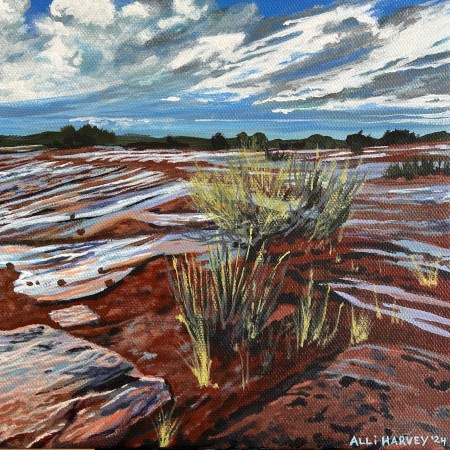 Sandstone After Rain