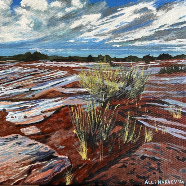 Sandstone After Rain