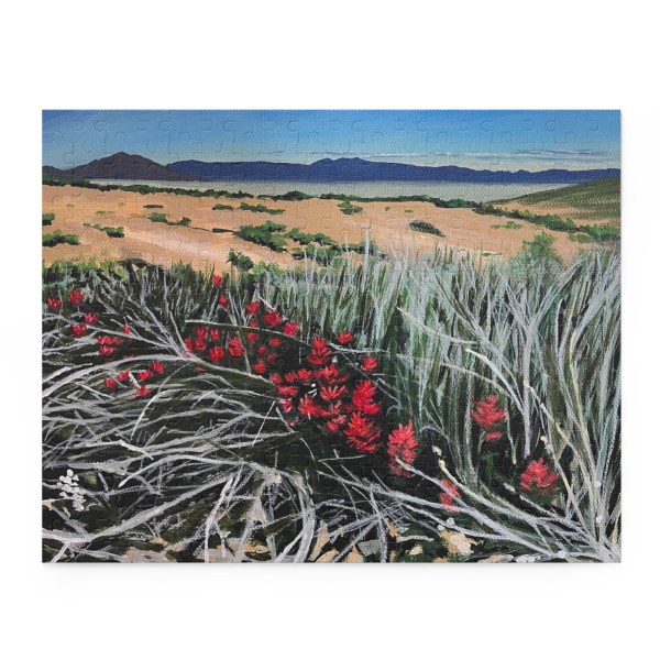 Puzzle - Black Rock Desert Ancient Lakebed