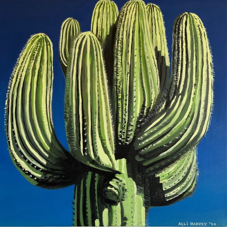 Sold - Sonoran