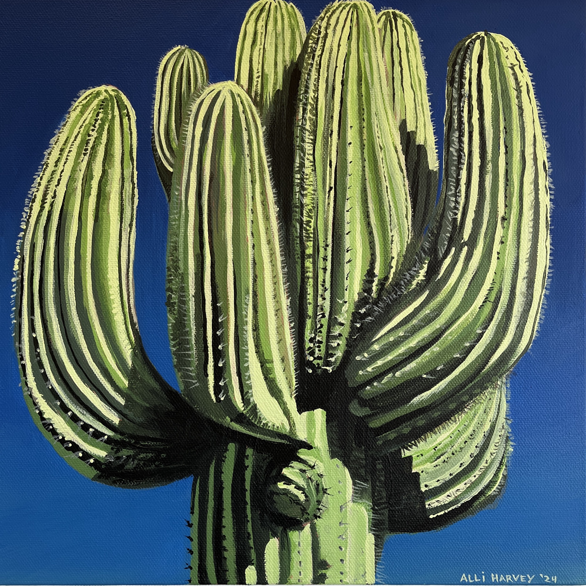 Sold - Sonoran