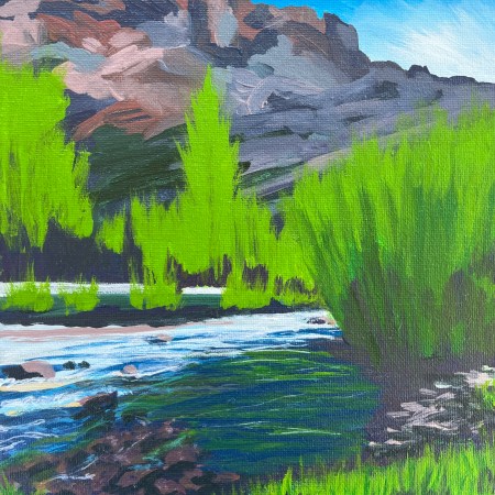 Lamoille Study