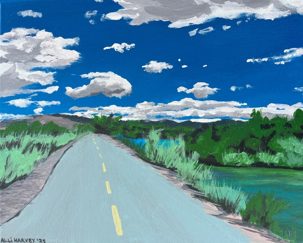 Bike Path Study